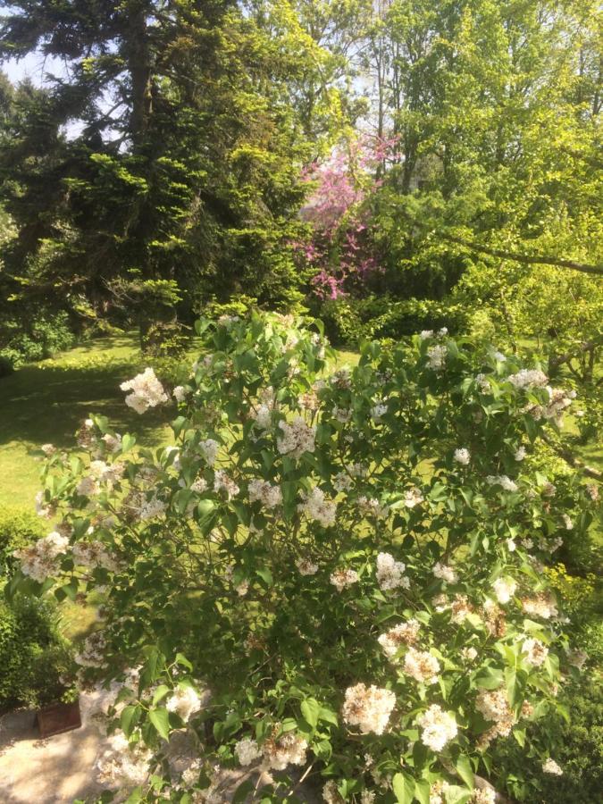 Bed and Breakfast De Ma Fenetre Saint-Martin-des-Entrees Экстерьер фото